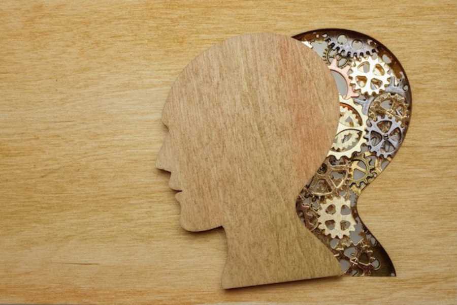 روان سنجی چیست و چه کاربردی در استخدام و ارزیابی شغلی دارد؟